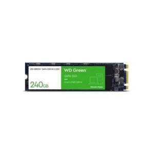 M2 240Gb WESTERN GREEN Chính Hãng